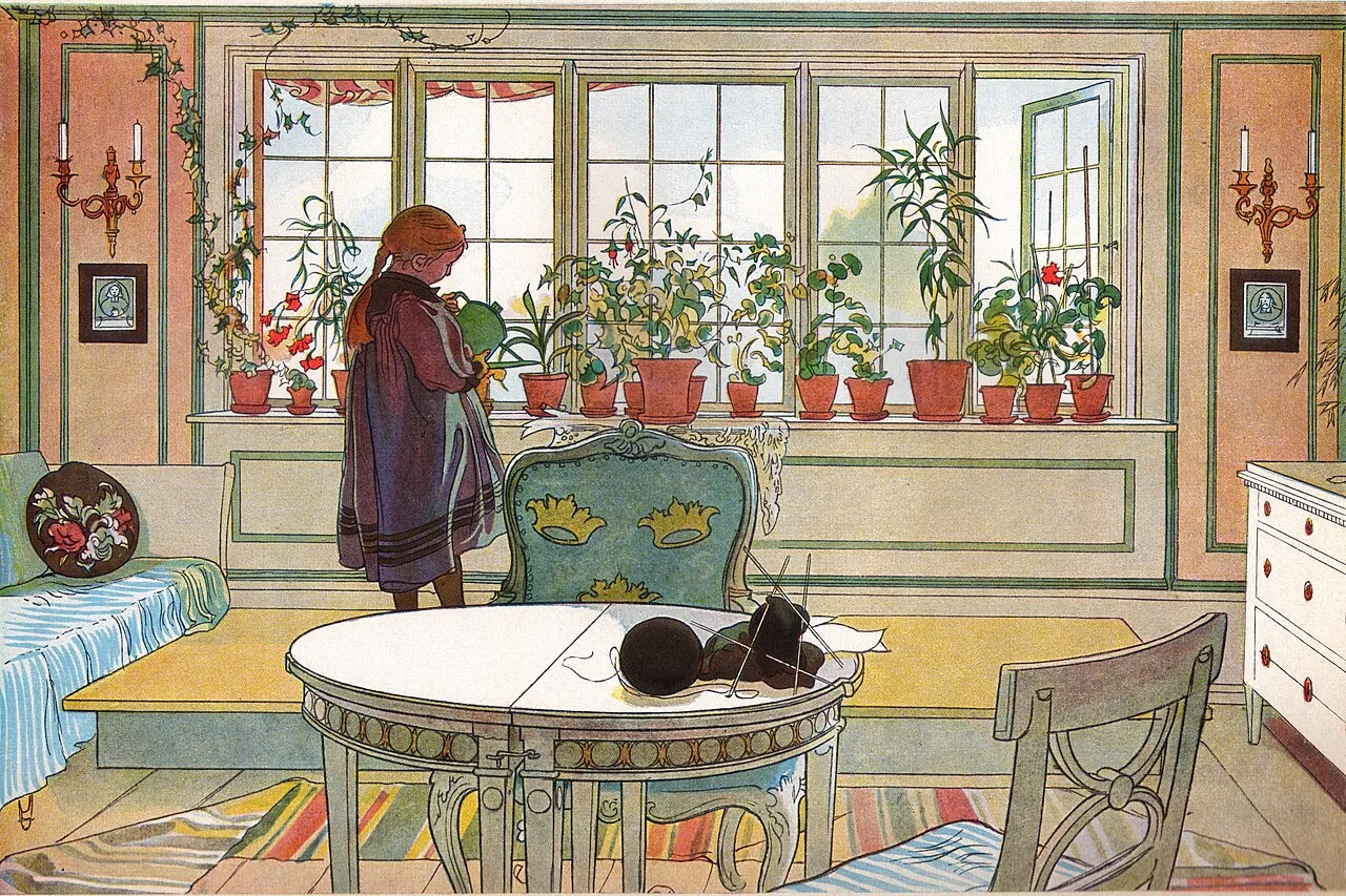 Ocho plantas de interior que sobreviven a cualquier persona