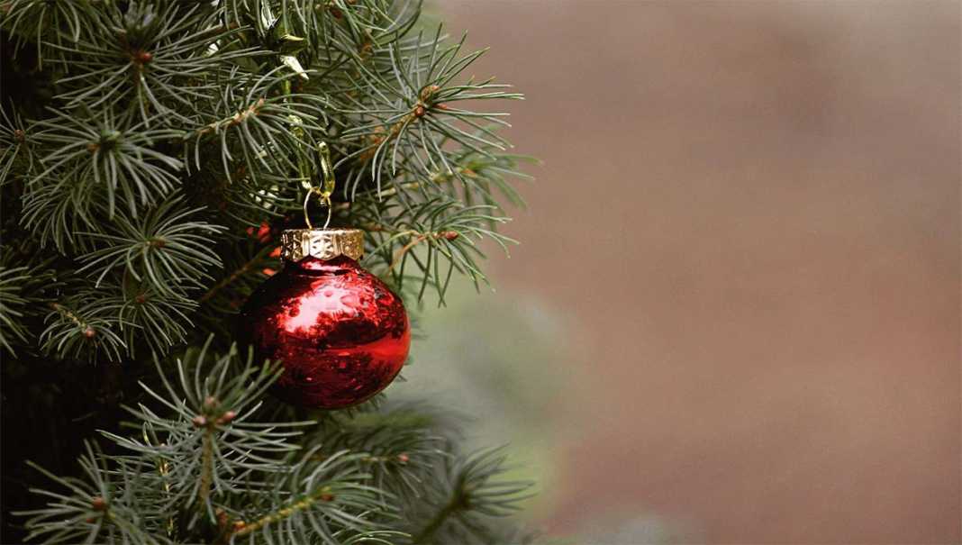 Árbol de navidad natural o artificial la mejor elección para el medio